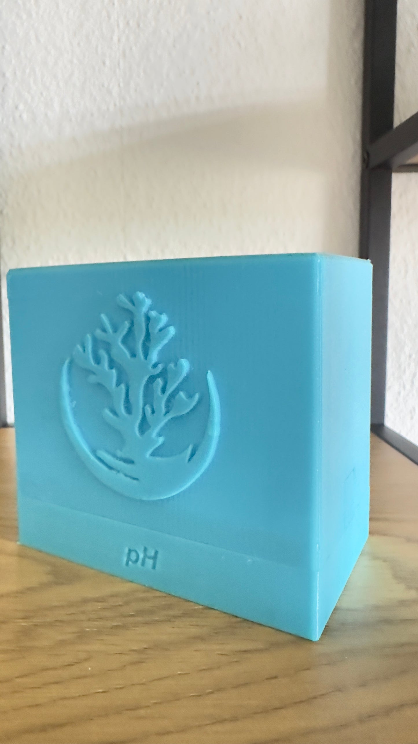 Wassertest Box