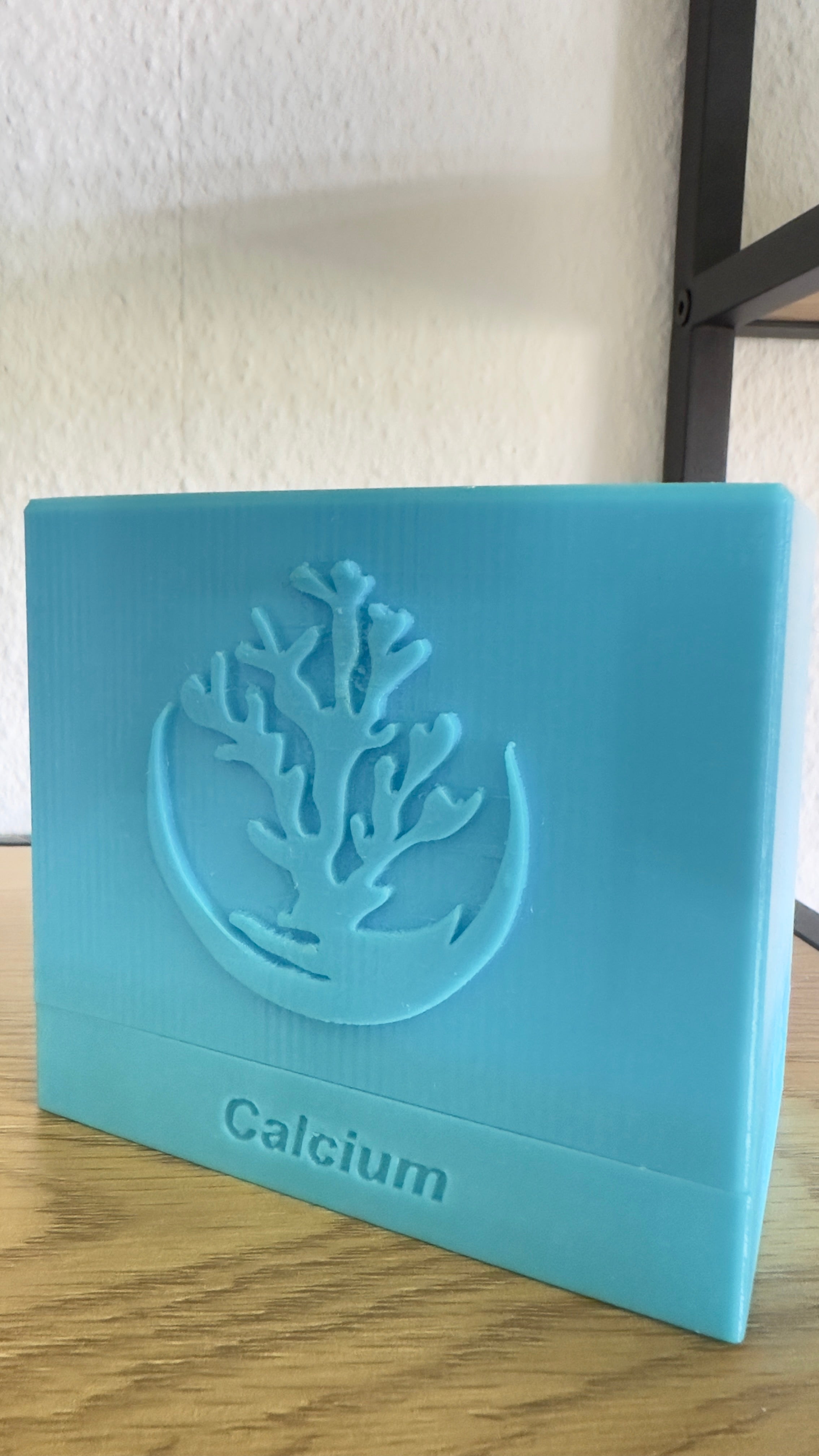 Wassertest Box