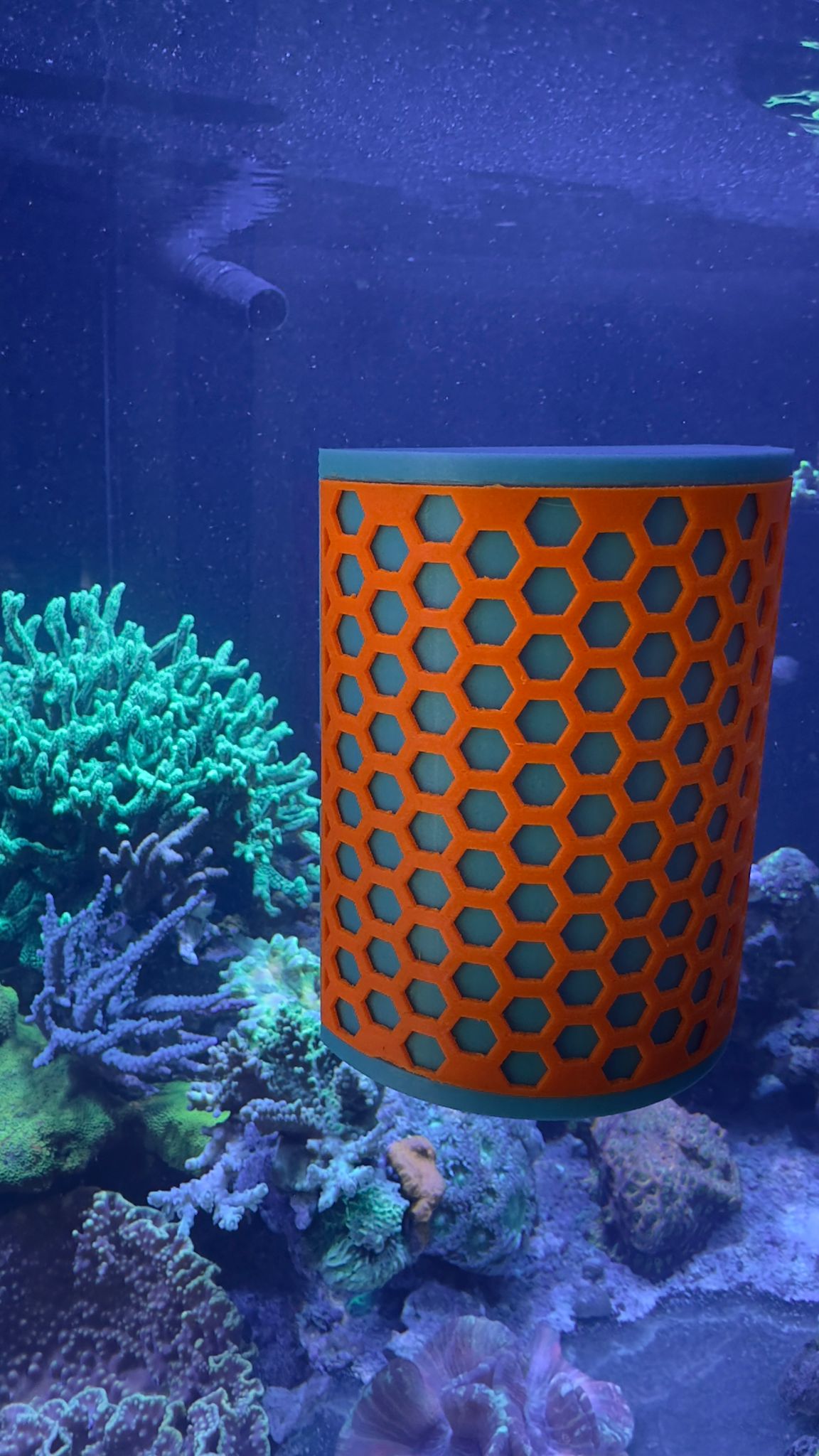 Nori Algen Futterhalter