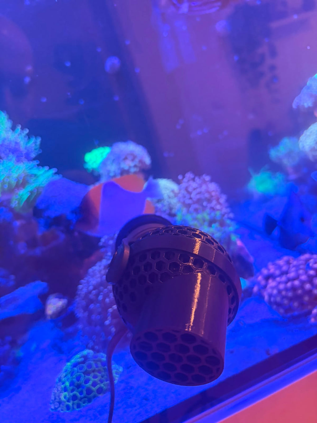 ReefShield für Tunze 6015/6025/6045/6055