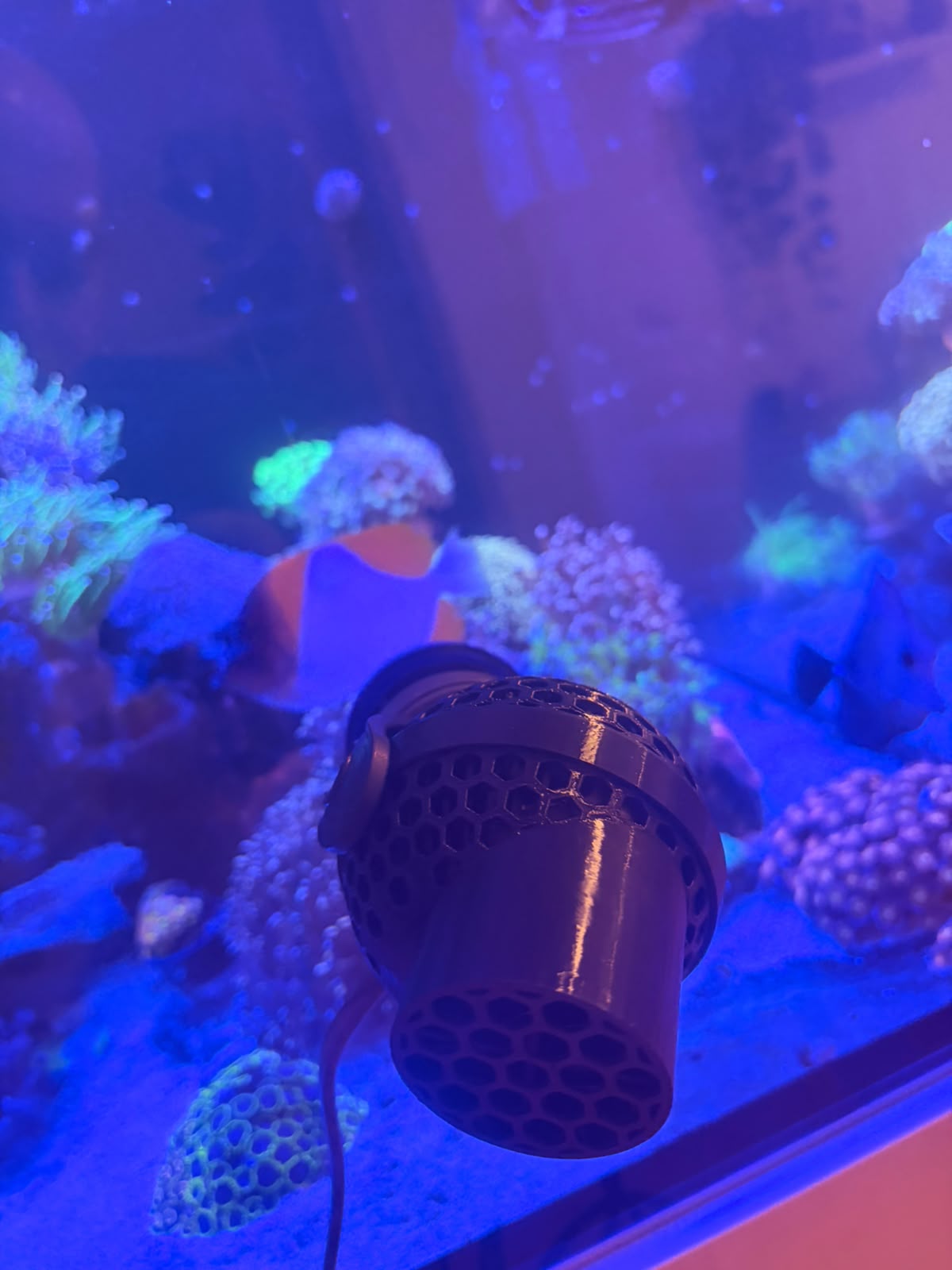 ReefShield für Tunze 6015/6025/6045/6055